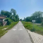 Cañas Zelená Víla *